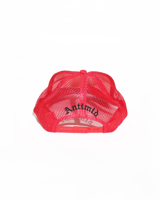 ANT MESH CAP
